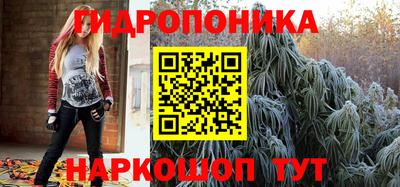 мяу мяу мука Нальчик
