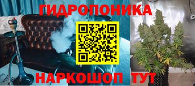 мяу мяу мука Нальчик