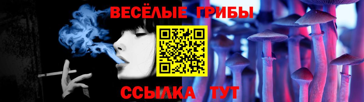 Псилоцибиновые грибы мухоморы  Вход с VPN  что такое   Киреевск 